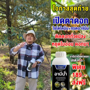 เปิดตาดอก (อามีน่ายกลัง12ขวดแถมเสื้อ+NAA) สาหร่ายดำ ชนิดอะมิโน มีแมกนีเซียมและสังกะสี ขวด1ลิตร 1770