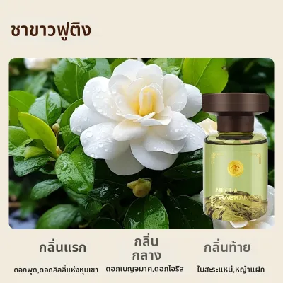 น้ำยาปรับอากาศในรถที่มีกลิ่นหอมยาวนาน
