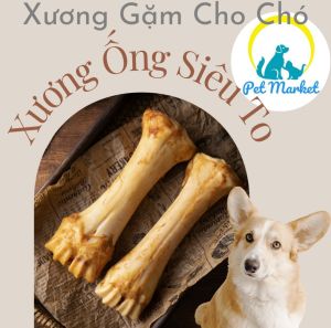 1 XƯƠNG ỐNG BÒ XƯƠNG GẶM SẠCH RĂNG CHO CHÓ