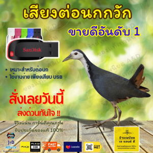 Flash Drive เสียงต่อ นกกวักตัวเมีย – คมชัด 6 ชั่วโมง ไม่มีโฆษณา | ส่งด่วน Flash Express | เก็บเงินปลายทาง