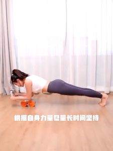 Ab Roller Wheels/Ab Roller 2 IN 1/Abdominal Roller alat gym Automatic Rebound Olahraga Ab Wheel Plank Trainer