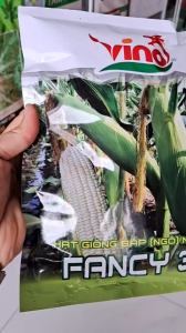 (Gói 500gr) Hạt Giống Bắp (Ngô) Nếp Lai FANCY 39 VINO - Cây sinh trưởng mạnh độ đồng đều cao