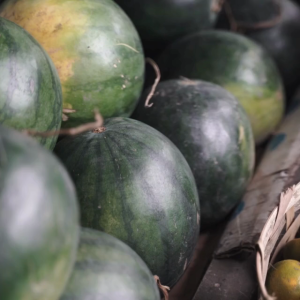 Sugar Baby Watermelon Seeds – Premium Watermelon Seeds for Planting | High Germination