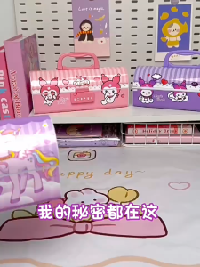Multifunctional high-capacity student pencil case with fingerprint lock and erasable surface.