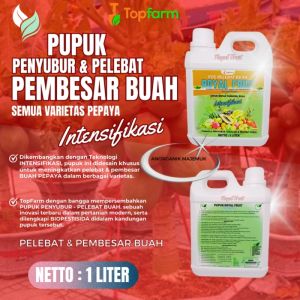 Pupuk Pembesar Buah / Pupuk Khusus Pepaya / Pupuk Buah Pepaya Super Lebat / Pupuk Untuk Pelebat Buah Pepaya / Pupuk Pepaya California