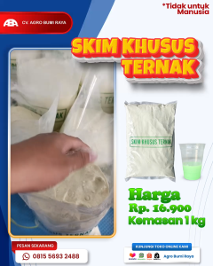 Skim premium pengganti susu induk pedet hewan ternak