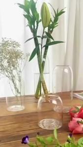 Lọ Hoa Thủy Canh Bằng Kính Hiện Đại Trang Trí Bàn Làm Việc Dùng Cho Tiệc Cưới Trang Trí Nhà Cửa Lọ Hoa Thủy Tinh Pha Lê