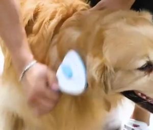 Pet Brush Hair Remover Comb Dog Hair Brush Grooming Comb For Pet Dogs Self Cleaning Slicker Brush Cat Hair Brush Removal Loose Undercoat Pet Massage Cat Brush For Fur Removes Grooming Tool