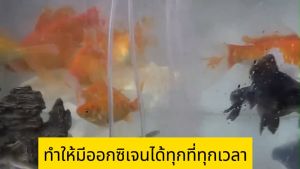 พกพา อ็อกซิเจนพกพา อ๊อกซิเจนปลา ออกซิเจนตู้ปลา ใช้งานได้ยาวนาน110ชั่วโมง หัวชาจต์USB ( เครื่องออกซิเจน ออกซิเจนกุ้ง ปั้มลมตู้ปลา ปั๊มออกซิเจน ปั๊มลม ปั้มลมขนาดเล็ก ปั๊มลมออกซิเจน)