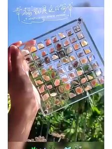 Acrylic Magnetic Seashell Box: A Portable & Organized Storage Solution