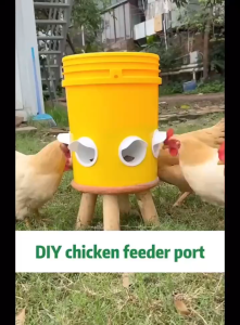 Automatic Chicken and Duck Feeder Moisture-proof Rain-proof No Waste Gravity Set Chicken Feed Bucket Feeder