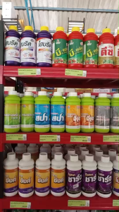 แมมมอท ฟองดู สาหร่ายสีเขียวเข้มข้น+อะมิโนธาตุอาหารเสริมพืช ฮอร์โมนพืช (ฟื้นต้นหลังเก็บเกี่ยว สร้างดอก เปิดตาดอก) │เทพวัฒนา ตราปลาคู่│