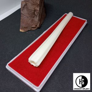 pipa rokok once tulang sapi semi belimbing putih dan gurih h28