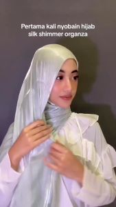 ZYRA - Pashmina Shimmer Luxury Silk Organza