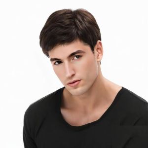 Cross-border e-commerce supply Wig Mens oblique bangs Handsome short straight hair European and American fashion chemical fiber full head cover