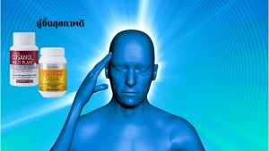 ้ส่งฟรี ลดไขมัน ldl Omega3 เลซิติน โคซานอล ยาความดัน ไขมันพอกตับ ยาไตเสื่อม อ้วน lecithin cosanal giffarine