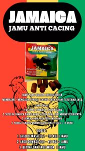 JALU AJI JAMAICA - Obat cacing ayam