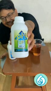 PH UP 250ml
