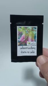 10 เมล็ด ดอกแคสีชมพู (ต้นเตี้ย) - ของแผ่นดินแดงใหญ่ แซลมือ และเครื่องดื่มที่สะดวก แคชมพู ดอกแคชมพู เมล็ดดอกแคสีชมพู แคดอกชมพู แคแกง ดอกแค