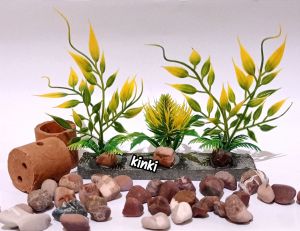 tanaman hias aquarium rumput nanas batu.1pc