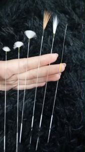 ที่ปั่นหูขนห่าน ไม้ปั่นหูฟินๆ ขนนกกระเรียน หางม้า ใช้ดีมาก ใช้ได้หลายครั้ง ไม้ปั่นหูขนไก่ ไม้ปั่นหูแบบขน งานพรีเมี่ยม สำหรับการบำบัดผ่อนคลาย ASMR ร้านไทย พร้อมส่ง Skndee