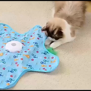 SG Ready Stock Interactive Electric Cat Toy LED 3 Speed Rechargeable Exercise Toy Automatic Rotating Feather