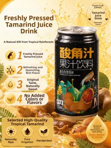 XIANSHIZI | No Additives Zero Fat Calorie Sour Jujube Juice Beverage