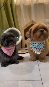 Petibox Dog Sausage Meat & Veggie Sticks 20pcs Natural Dog Treats with Real Meat & Vegetable Rich in Protein Omega-3 Taurine & Lysine – Grain-Free Allergen-Free – Promotes Digestive Heart Muscle & Immune Health