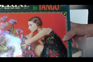 1 แผ่นเสียง 12นิ้ว AL6 DELUEX IN TANGO บรรเลง แผ่นNMริ้วรอยบาง เสียงรบกวนน้อยนิดไม่มีรอยลึก แผ่นล้างทำความสะอาดแล้ว ปกแข็ง2ชั้น หนา หนัก สมุดภาพ