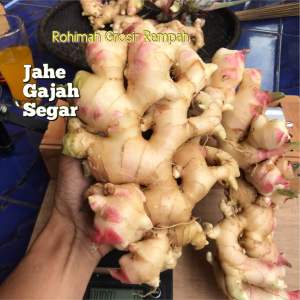 Jahe Gajah Segar / Jahe Gajah Bersih Fresh