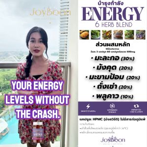 JoyBoon Energy Herbal Supplement | อาหารเสริมเพิ่มพลังงาน | VFD with Vortex Freeze-Dried