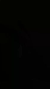 Buy1Take1 Translucent Bronzer Powder Makeup Nude Face Oil Control Matte Brighten Waterproof Set Press Loose Powder Korean Cosmetics