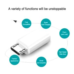 Đầu Chuyển Đổi Type-C Sang Micro USB Type C Cho Android