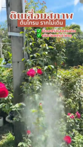 อะมิโน ฮิวมิค เพิ่มใบใหม่ ใบใหญ่ใบหนา เพิ่มราก ดินดี กระตุ้นการเจริญเติบโต สำหรับต้นไม้ ดอกไม้ และพืชสวน