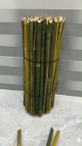 Cây Chống Lờ Cá Cải Tiến
