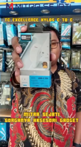 EXCELLENCE Travel Charger Hylos Fast Charging Quick Charge 27W USB-C Charging Port