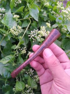 pipa cangklong kayu gali johar 11cm