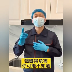 [WUWUJIE]Cockroach medicine indoor bedroom kitchen insecticide ant medicine household cockroach bait cockroach insecticide powder 5g