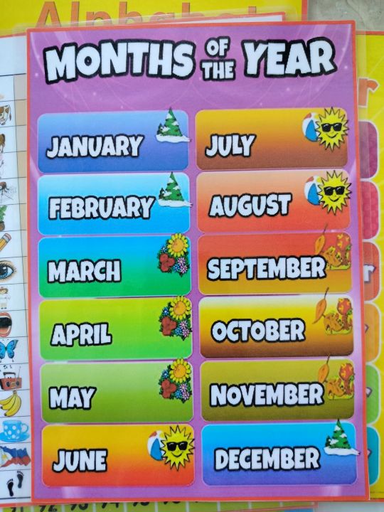 MONTHS OF THE YEAR LAMINATED A4 SIZE | Lazada PH