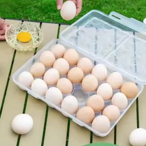 Egg Holder Plastic Egg Storage Box Egg Organizer for Fridge Portable Egg Tray with Lid for Refrigerator Camping Hiking Outdoor