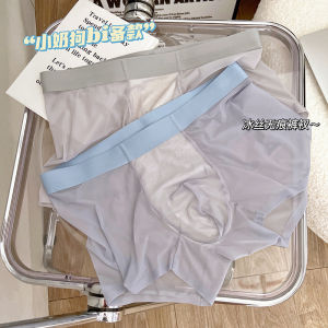 Ice Silk Mens Briefs Summer Thin Transparent Boxer Shorts Cool Feeling 2024 New Style Youth mid Waist Nylon Fabric Underwear