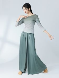 Modern Dance Clothes Xuân Hè Mới Cổ Điển Luyện Tập Nữ Người Lớn Cơ Thể Đầm Xòe Xếp Nếp Váy Tập Yoga Thể Thao