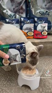 Silver Gravy สูตร Complete & Balanced รสทูน่าและฟักทอง 85 กรัมX12 ซฮง อาหารแมวเปียก