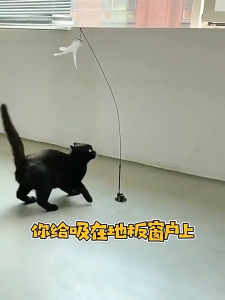 AJPET Selected Quality Cat Teaser Cat Toy Cat Stick Mainan Kucing Cat Rod Cat Chasers Replacement Head Fishing 钓鱼逗猫棒 替换头