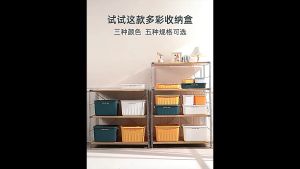 Fortune Home Storage Box with Cover: A Comprehensive Guide