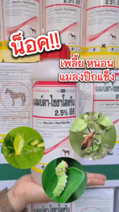 แลมบ์ดา-ไซฮาโลทริน แลมบ์ดา ไซฮาโลทริน ยาน็อคแมลง สูตรเย็น ( 1 ลิตร ) บั่ว หนอน เพลี้ย แมลงปีกแข็ง