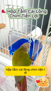 🐦💧 Hộp Tắm Cài Lồng Cho Chim Chào Mào – Chim Khuyên | Bền Đẹp – Gọn Nhẹ – Tiện Lợi – Dễ Lắp