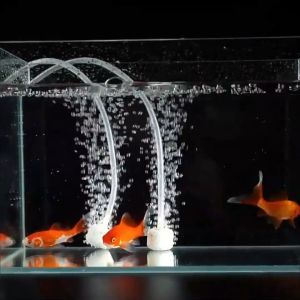 ปั้มอ็อกซิเจน Bonetar​ ปั๊มลม มี3รุ่น BT6000/BT6500/BT6800 ปั๊มลม​ตู้ปลา​แบบ 1ทาง / 2ทาง ปั๊มลม ตู้ปลา บ่อปลาประหยัดไฟ air pump เสียงเงียบ