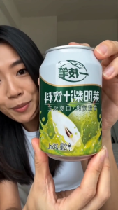 Yi Zhi Bi - >60% Laiyang Pear Juice Beverage 245ml x 20 Cans