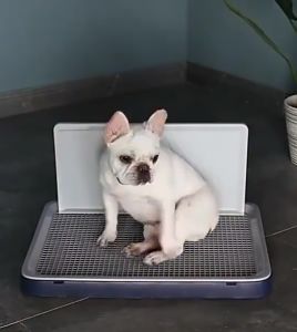 Wall Mounted Dog Toilet Dog Poop Tray Dog Training Toilet Large Dog Urinal Training Device To Prevent Dog Urine From Overflowing Training Poop Tray Pet Supplies